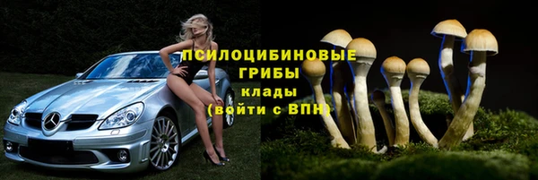 спиды Верея