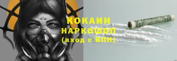 спиды Верея