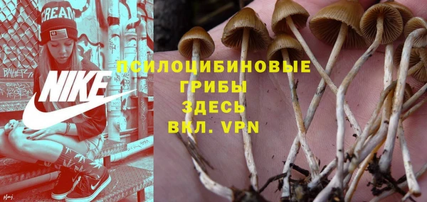 ALPHA-PVP Верхний Тагил