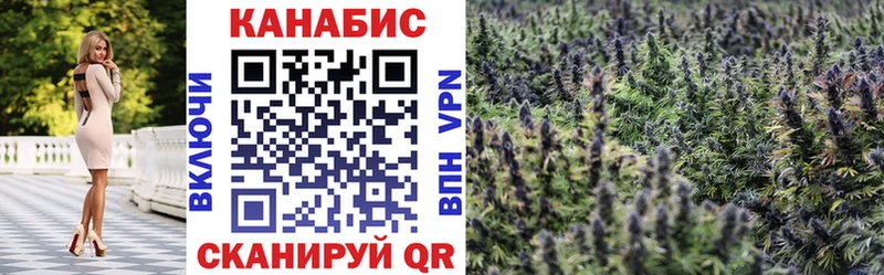 Конопля план  как найти закладки  Оренбург 